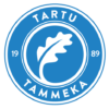 tammeka logo rgb